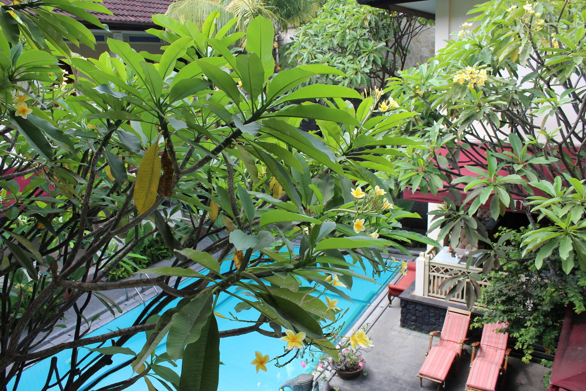 Hotel Indah Palace Yogyakarta Dış mekan fotoğraf
